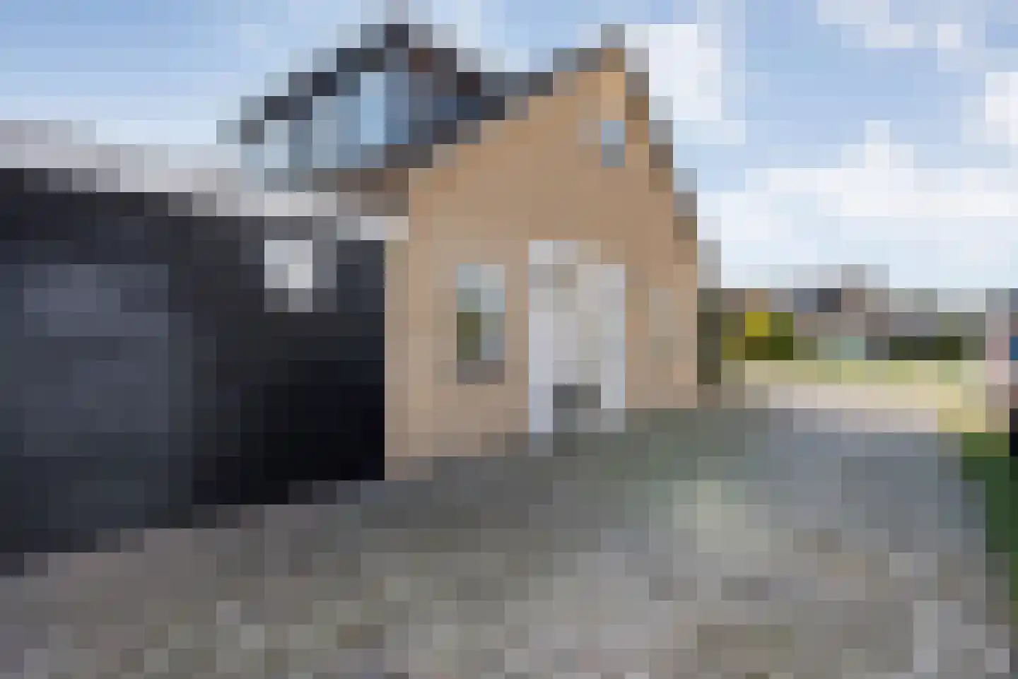 Griftestuk 54 Nijeveen thumbnail 53