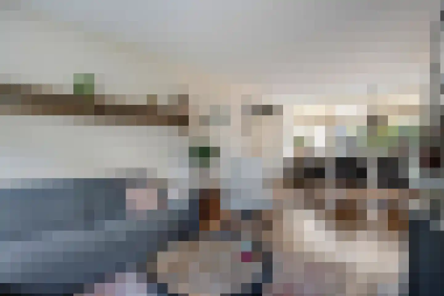 Griftestuk 54 Nijeveen thumbnail 7