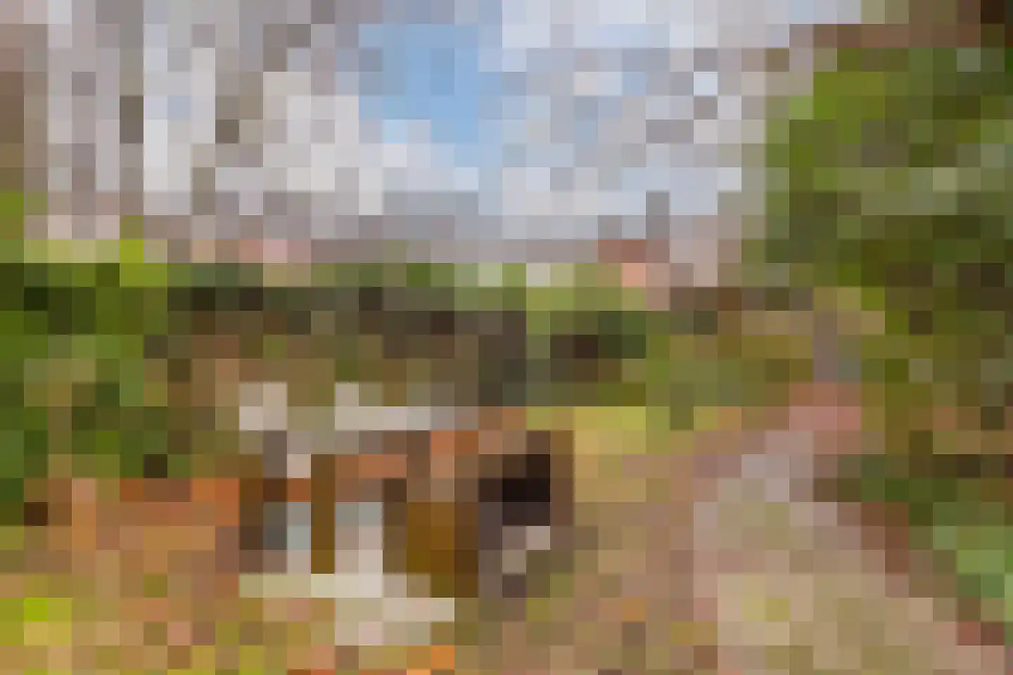 Grifthoek 102 Utrecht thumbnail 19