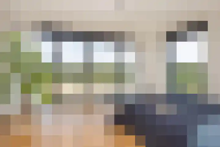 Grifthoek 111 Utrecht thumbnail 12