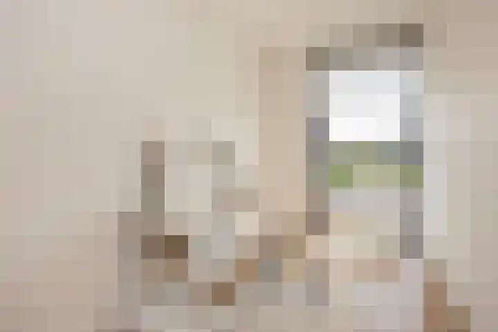 Grifthoek 111 Utrecht thumbnail 14