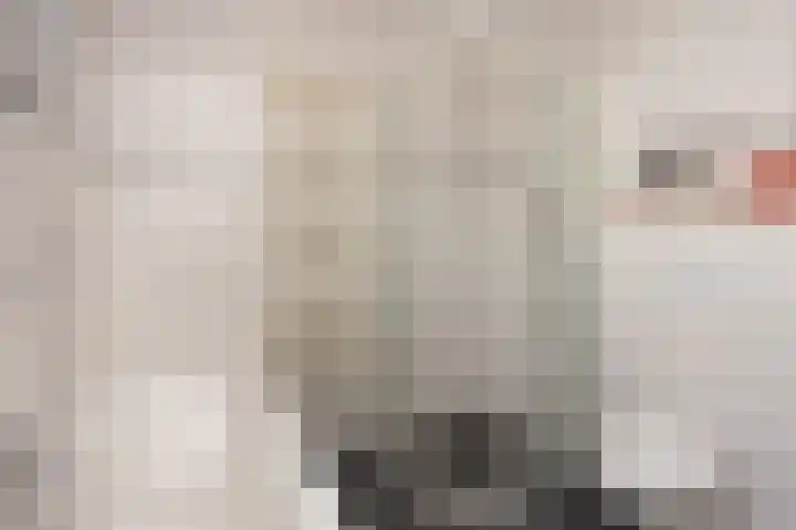 Grifthoek 111 Utrecht thumbnail 16