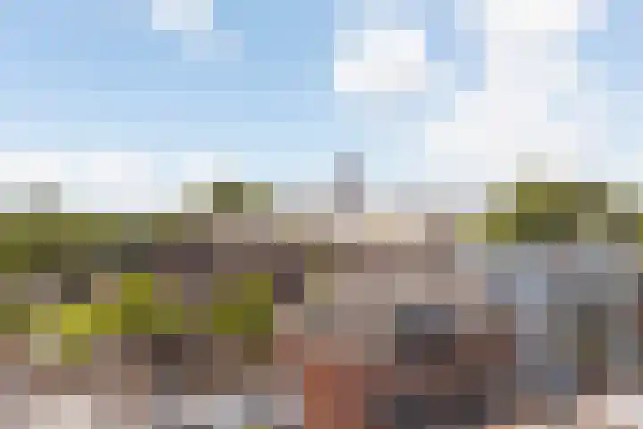 Grifthoek 111 Utrecht thumbnail 22