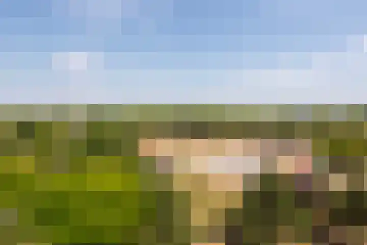 Grifthoek 111 Utrecht thumbnail 23