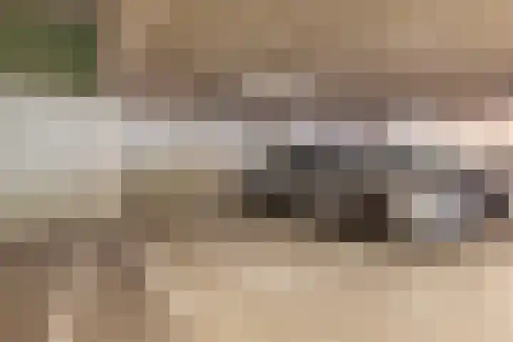 Grifthoek 111 Utrecht thumbnail 24