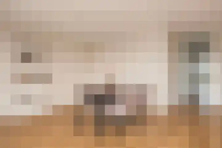 Grifthoek 111 Utrecht thumbnail 6