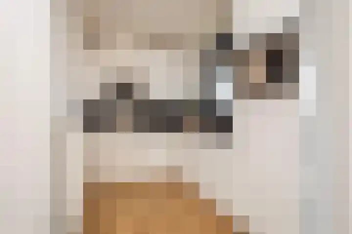 Grifthoek 111 Utrecht thumbnail 8
