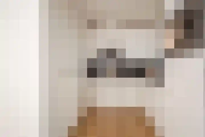 Grifthoek 111 Utrecht thumbnail 9