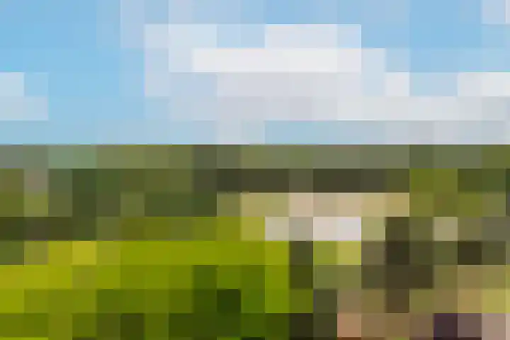Grifthoek 112 Utrecht thumbnail 20