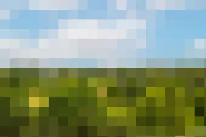 Grifthoek 112 Utrecht thumbnail 21