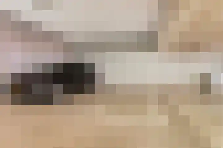 Grifthoek 112 Utrecht thumbnail 28