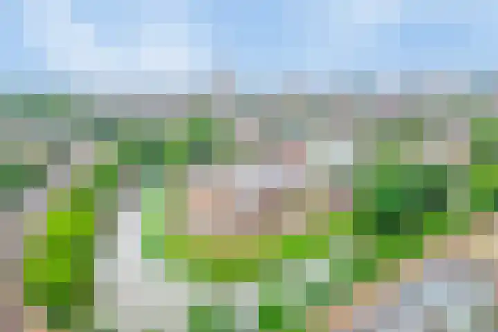 Grifthoek 112 Utrecht thumbnail 32