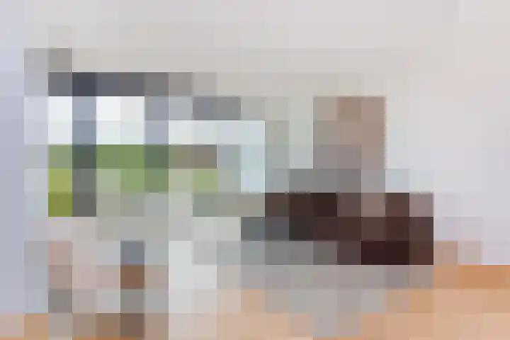 Grifthoek 112 Utrecht thumbnail 8