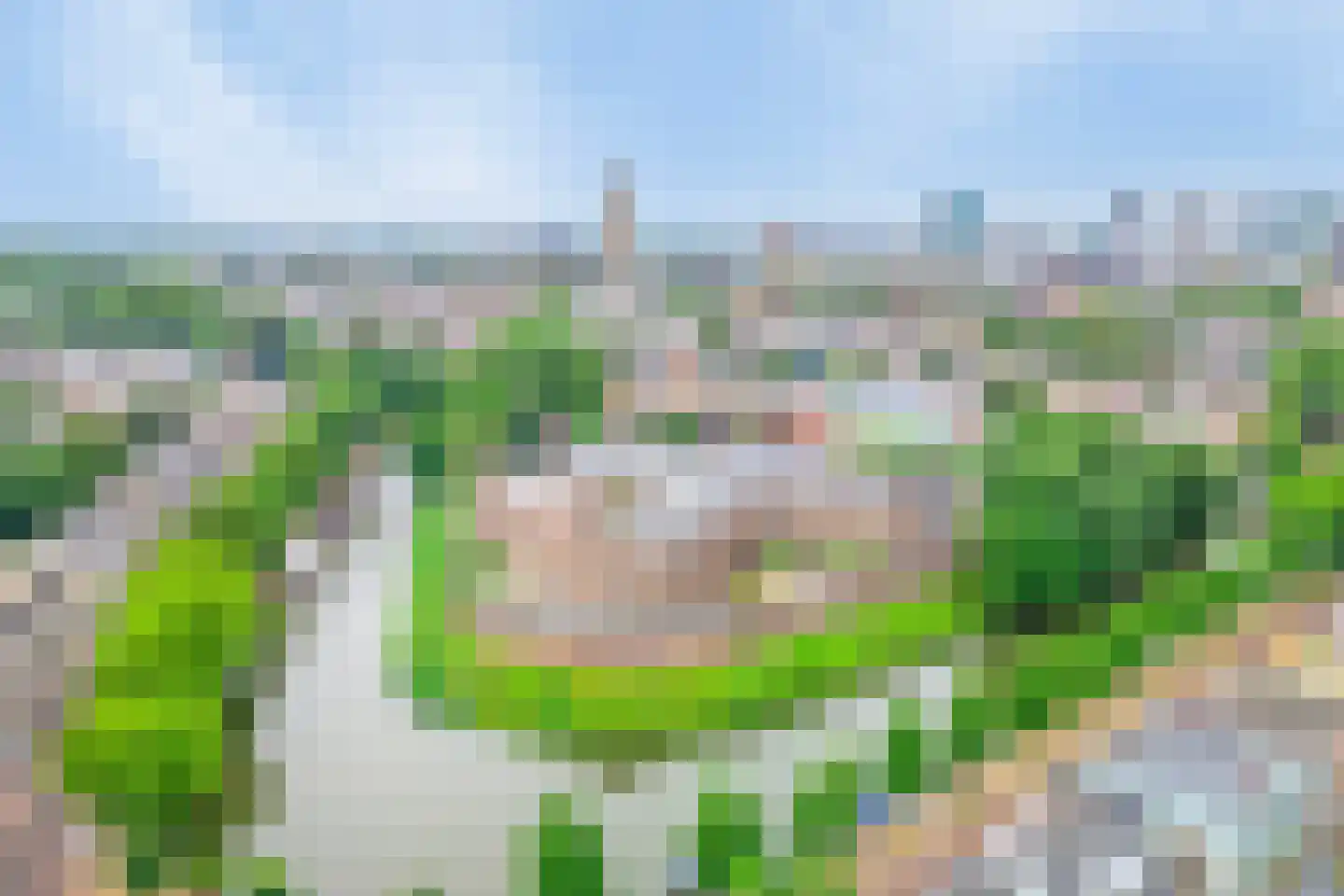 Grifthoek 117 Utrecht thumbnail 36