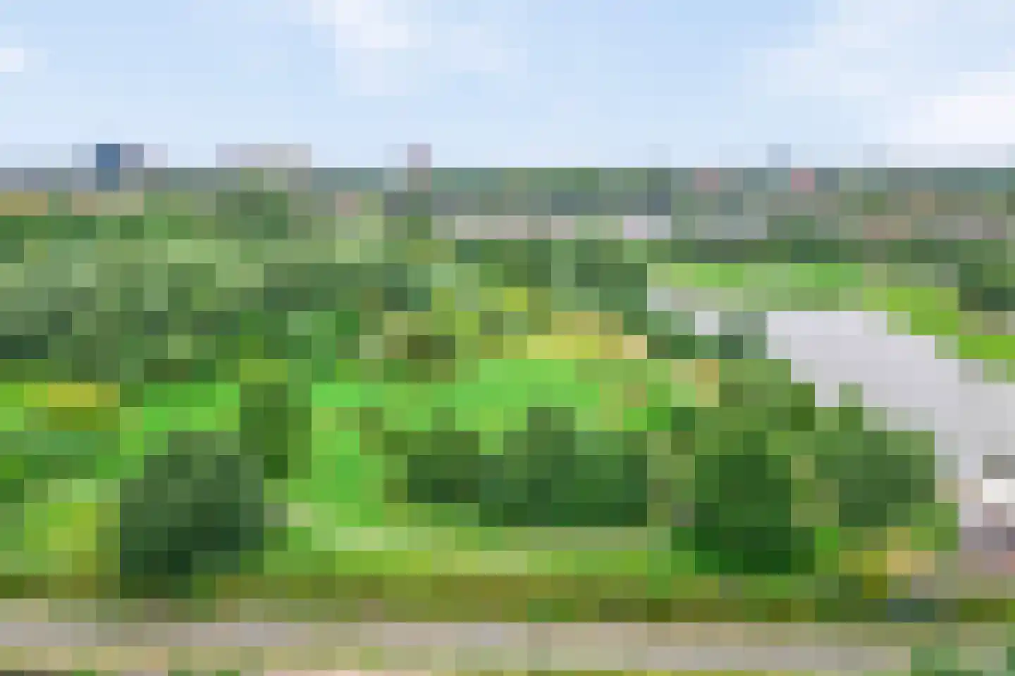 Grifthoek 117 Utrecht thumbnail 37