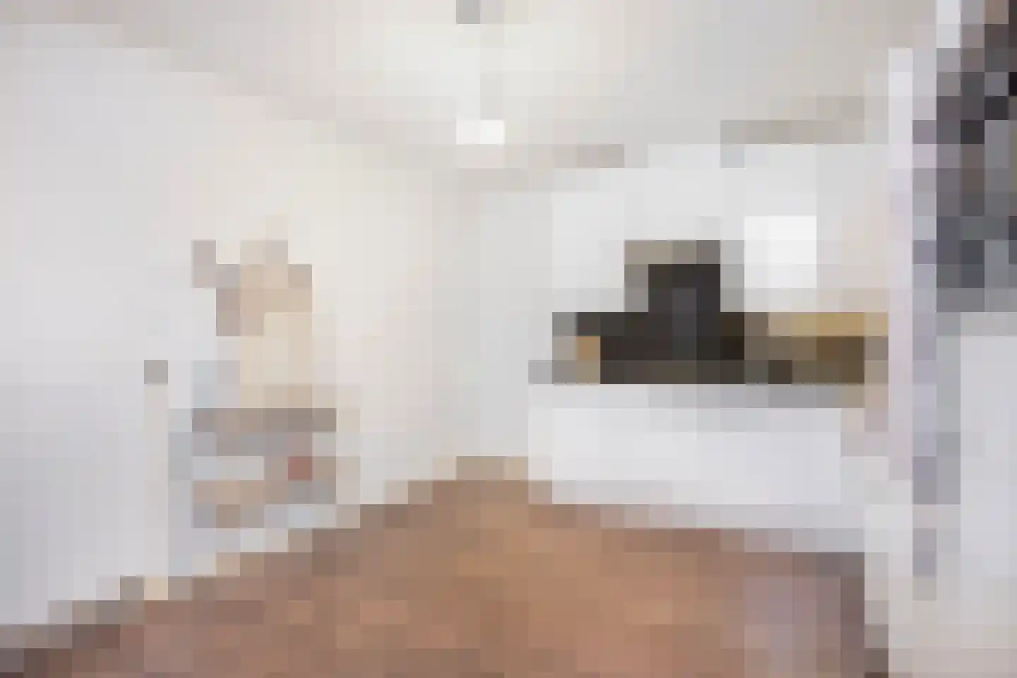 Grifthoek 122 Utrecht thumbnail 11