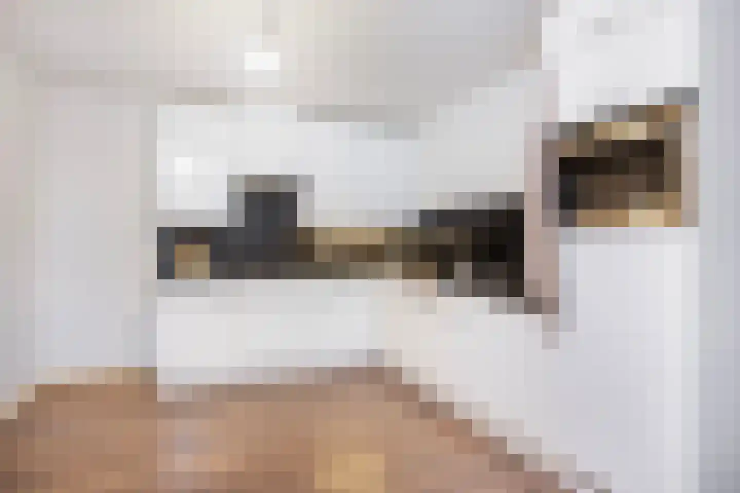 Grifthoek 122 Utrecht thumbnail 13