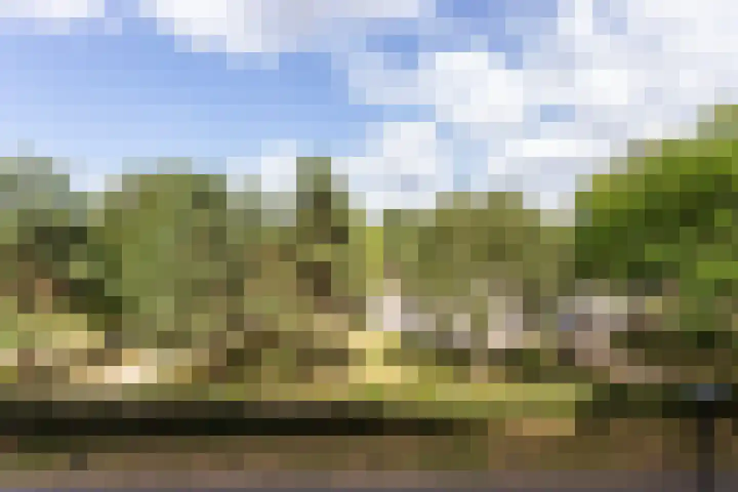 Grifthoek 123 Utrecht thumbnail 25