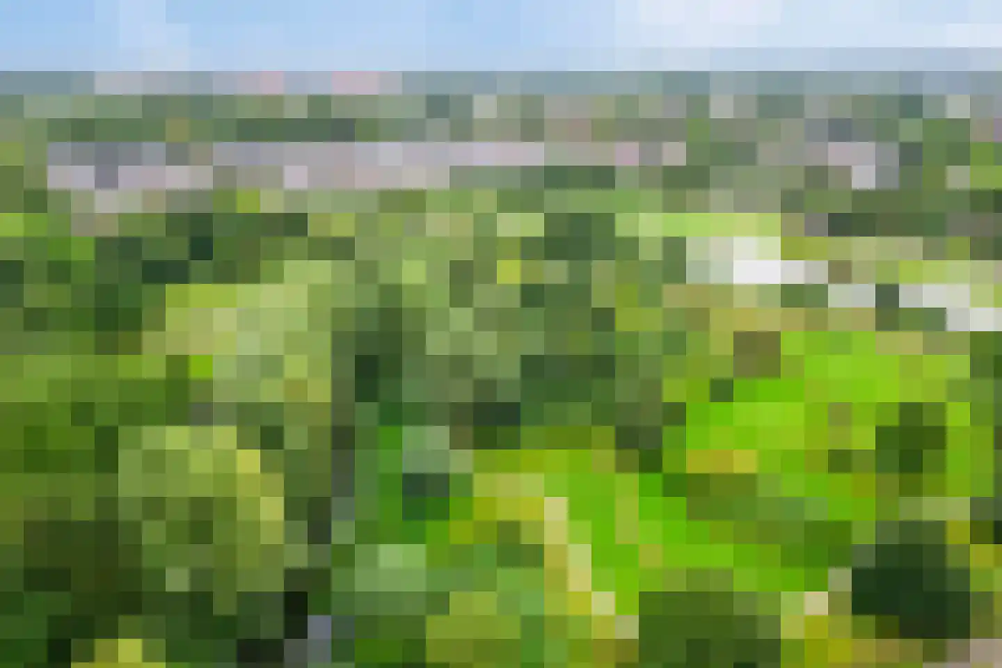 Grifthoek 123 Utrecht thumbnail 36