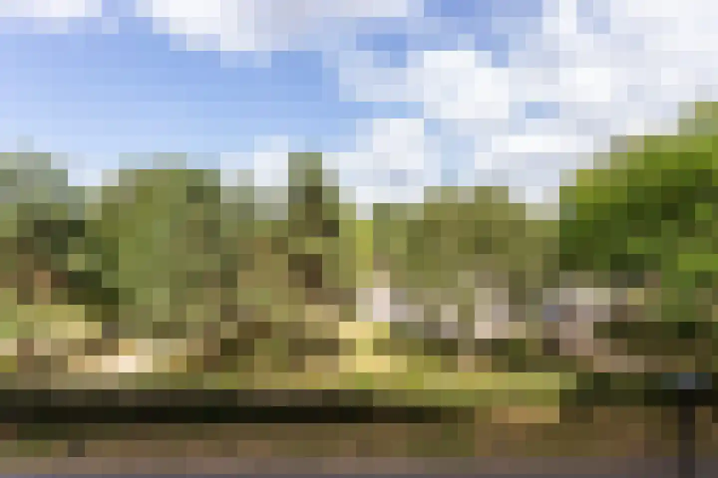 Grifthoek 123 Utrecht thumbnail 6