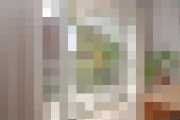 Griftkade 15 1 Utrecht thumbnail 12