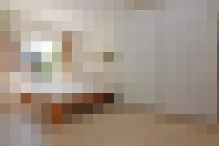 Griftkade 15 1 Utrecht thumbnail 17