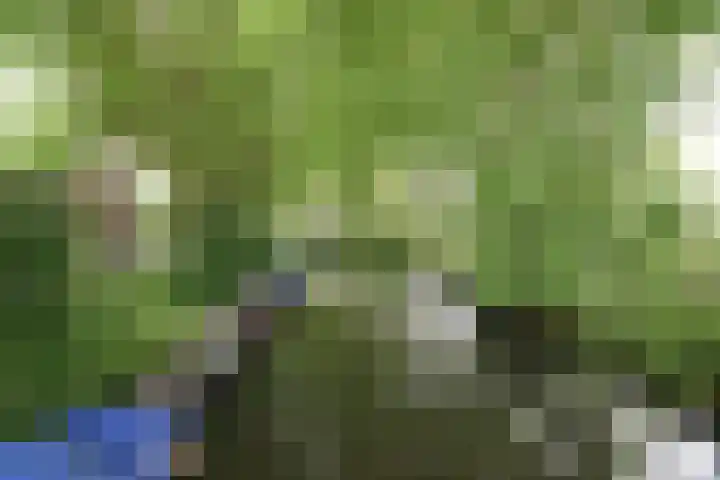Griftkade 15 1 Utrecht thumbnail 27