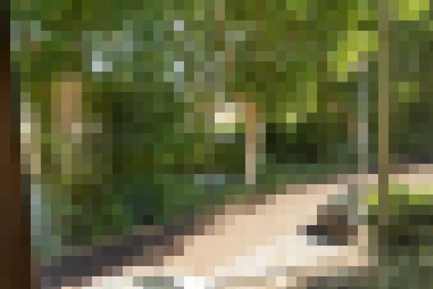 Griftkade 7 BS Utrecht thumbnail 17