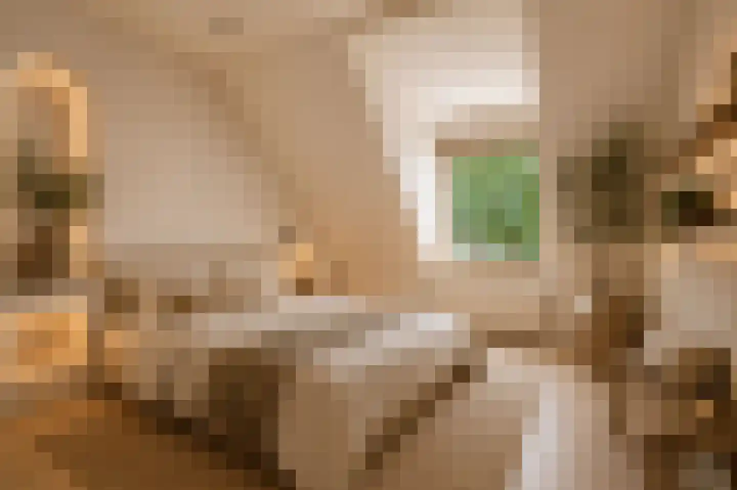 Griftkade 7 BS Utrecht thumbnail 27
