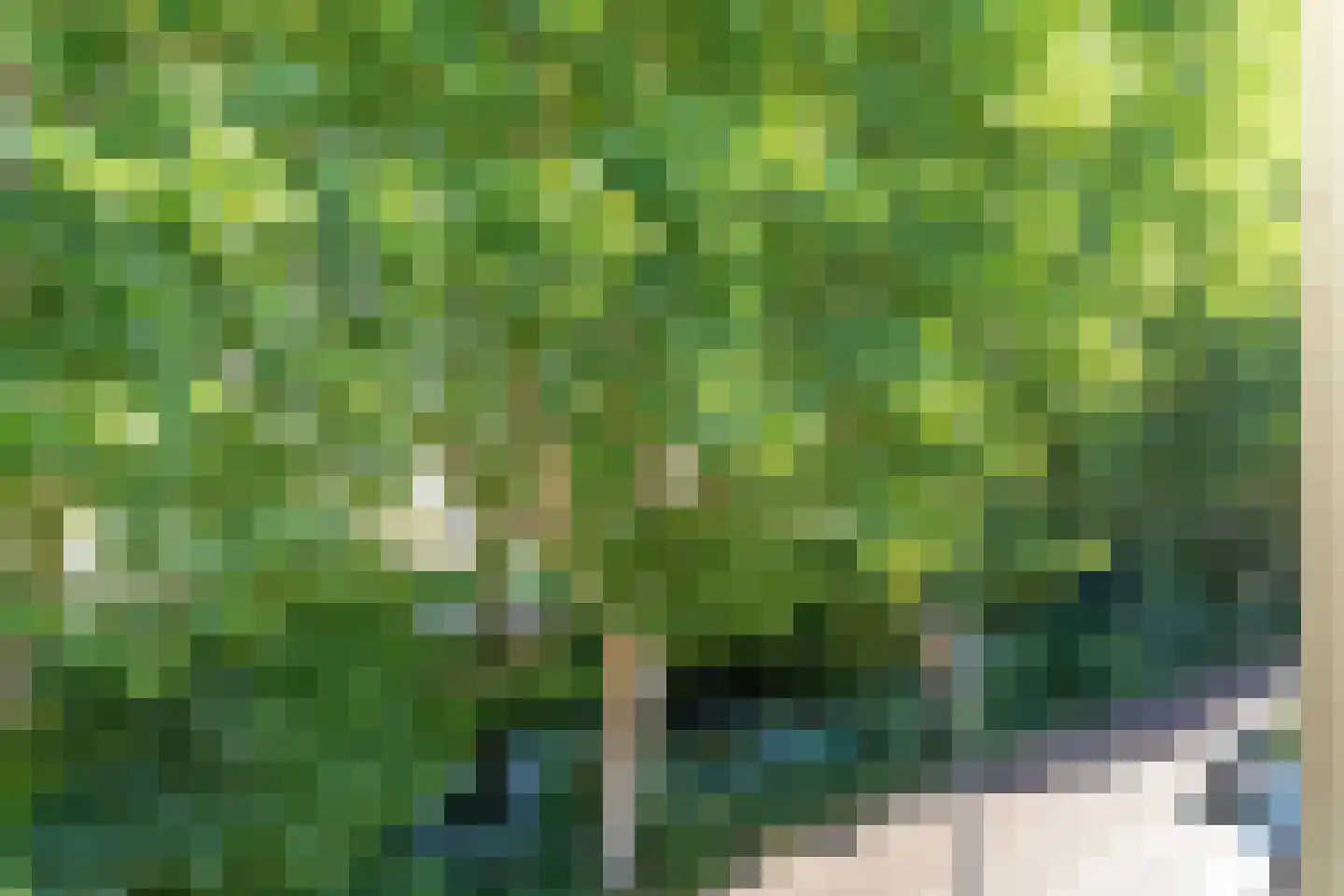 Griftkade 7 BS Utrecht thumbnail 29