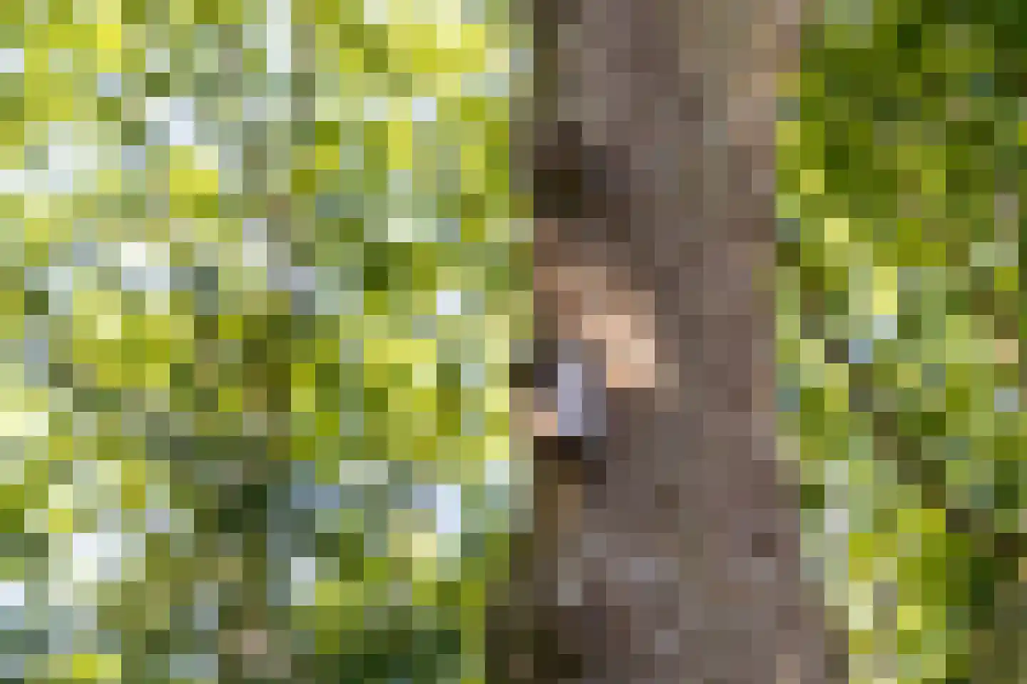 Griftkade 7 BS Utrecht thumbnail 36