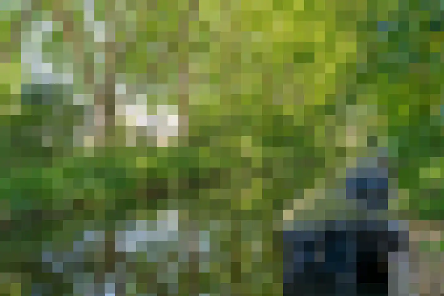 Griftkade 7 BS Utrecht thumbnail 37