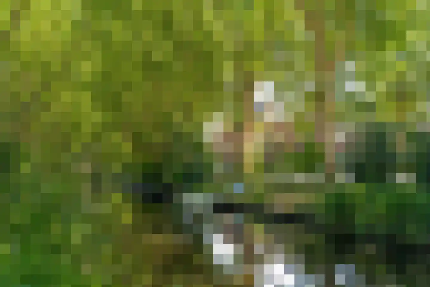 Griftkade 7 BS Utrecht thumbnail 5