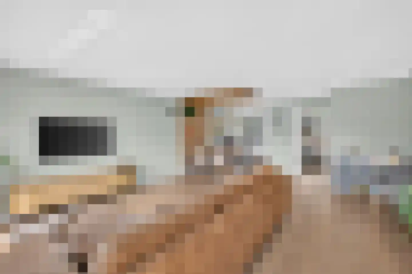 Griftlaan 8 Eindhoven thumbnail 13