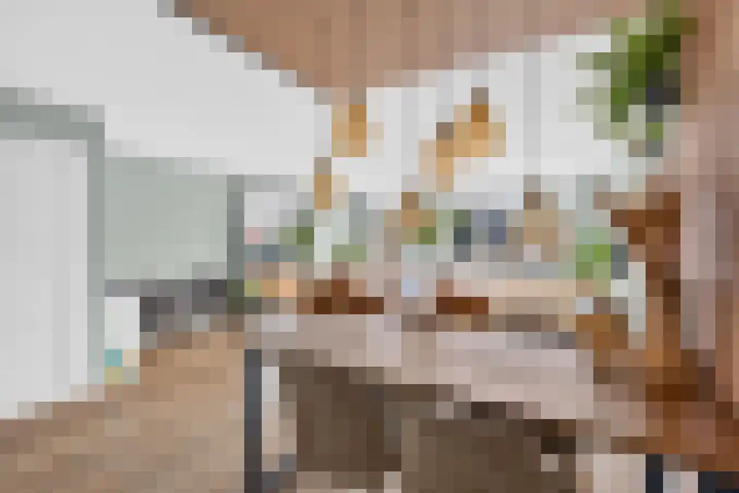 Griftlaan 8 Eindhoven thumbnail 14