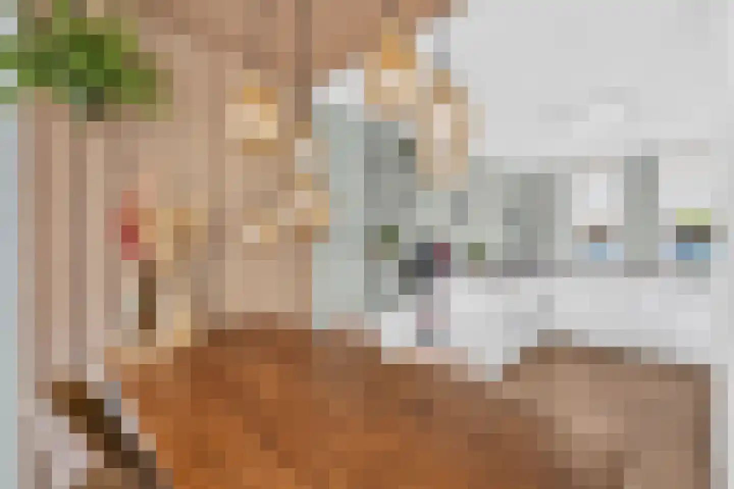 Griftlaan 8 Eindhoven thumbnail 15