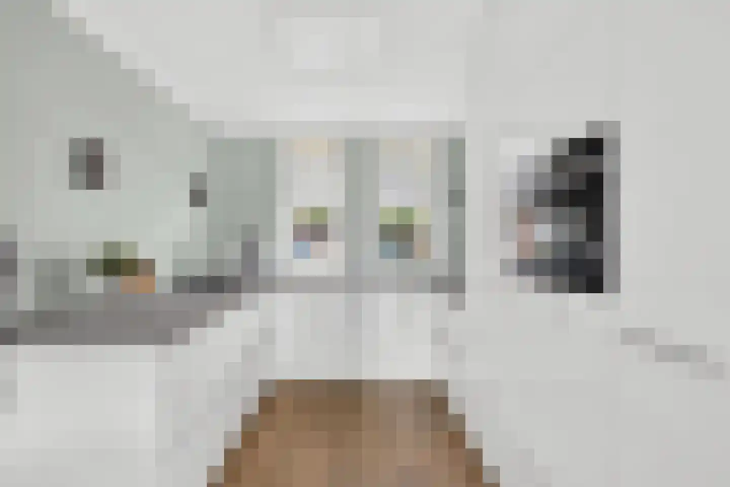 Griftlaan 8 Eindhoven thumbnail 16