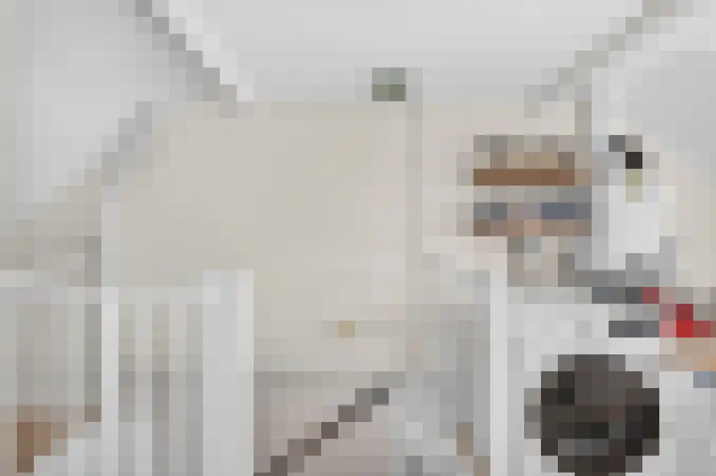 Griftlaan 8 Eindhoven thumbnail 34