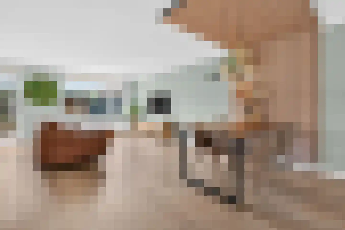 Griftlaan 8 Eindhoven thumbnail 9