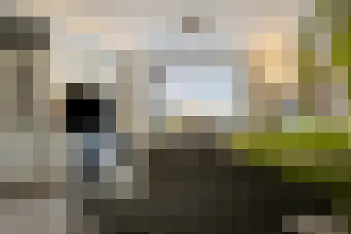 Griftstraat 101 Helmond thumbnail 12