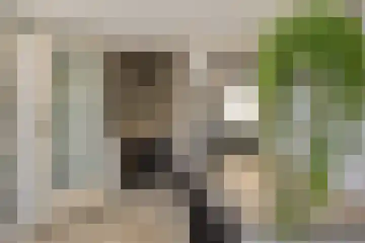 Griftstraat 101 Helmond thumbnail 22