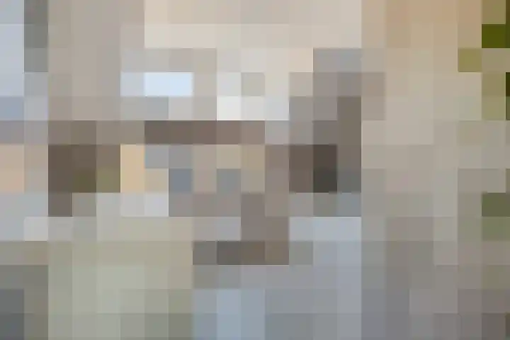 Griftstraat 101 Helmond thumbnail 26