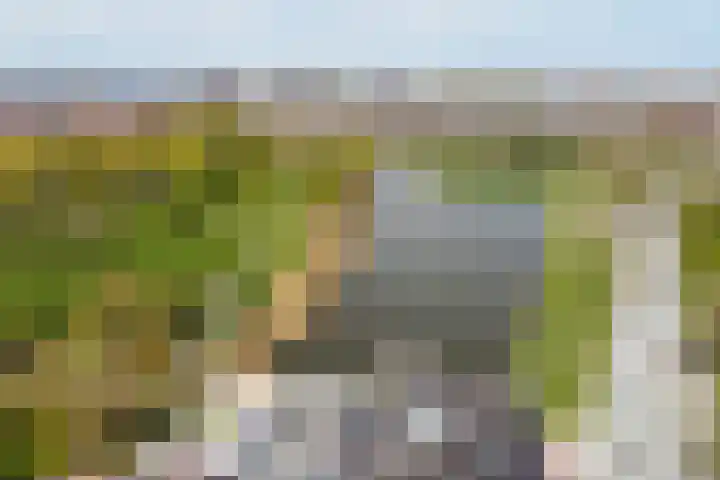 Griftstraat 123 Utrecht thumbnail 38