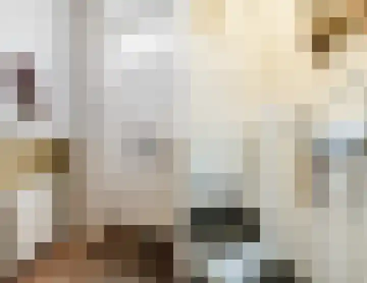 Griftstraat 127 Utrecht thumbnail 7