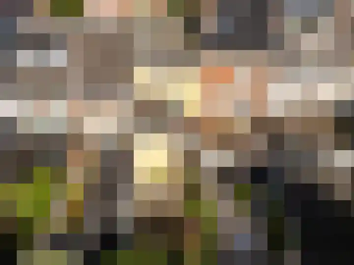 Griftstraat 127 Utrecht thumbnail 71