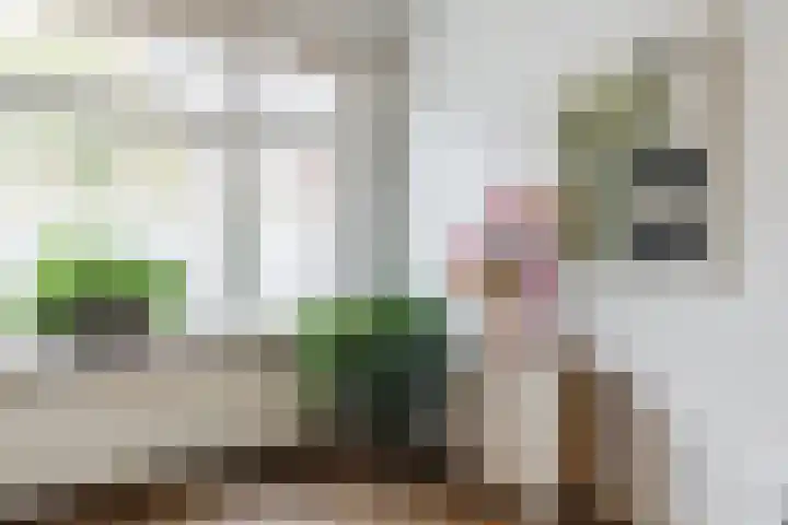 Griftstraat 127 Utrecht thumbnail 9