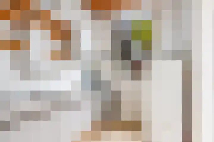 Griftstraat 22 Utrecht thumbnail 14