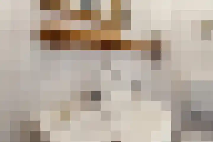 Griftstraat 31 Utrecht thumbnail 20