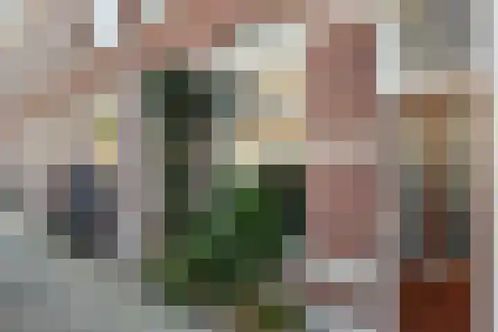 Griftstraat 31 Utrecht thumbnail 6