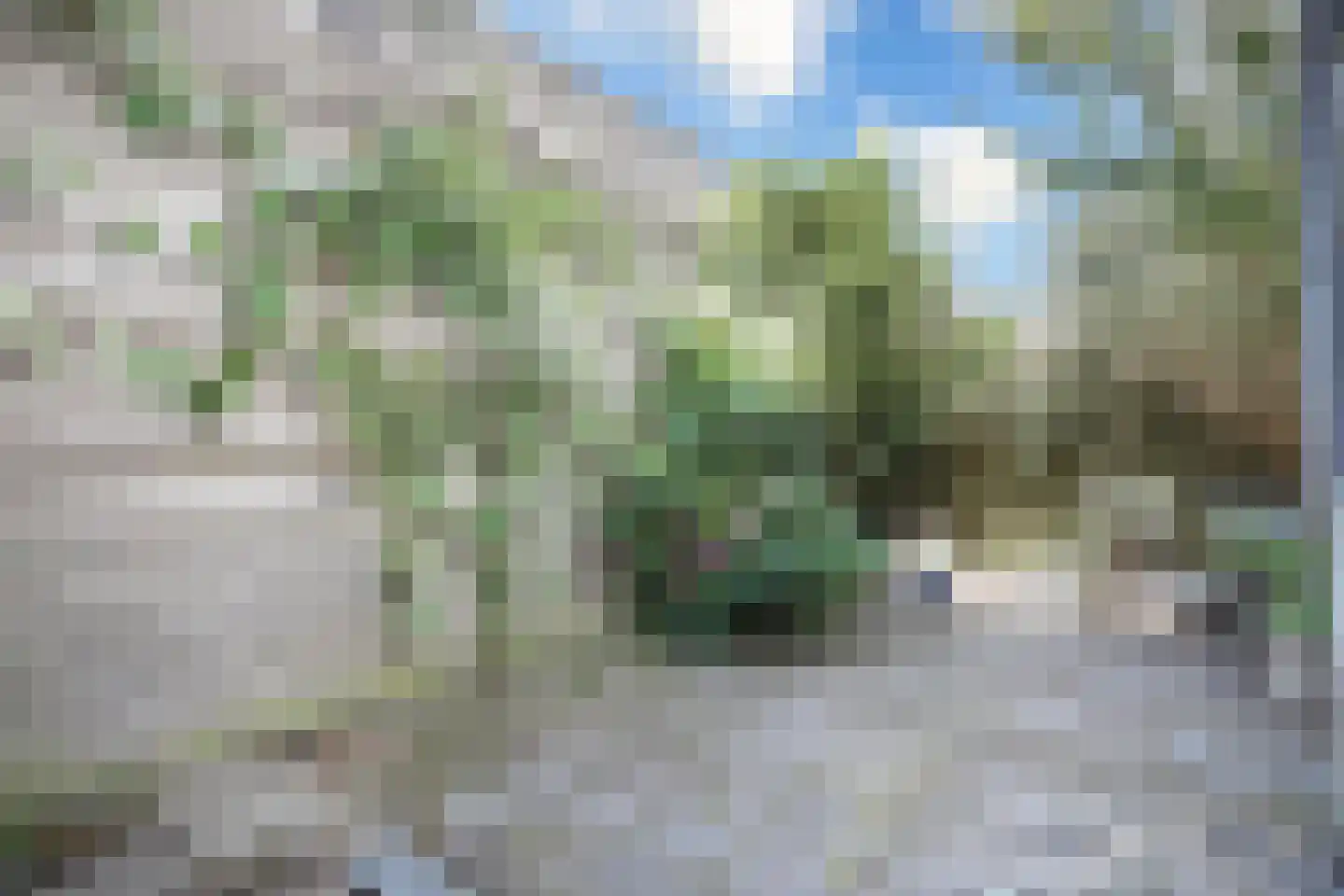 Griftstraat 4 Utrecht thumbnail 19